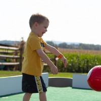 Canimore_HarvestDay2-52-of-190